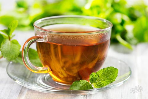 Чай с мелиссой полезен для здоровья чай с мелиссой фото